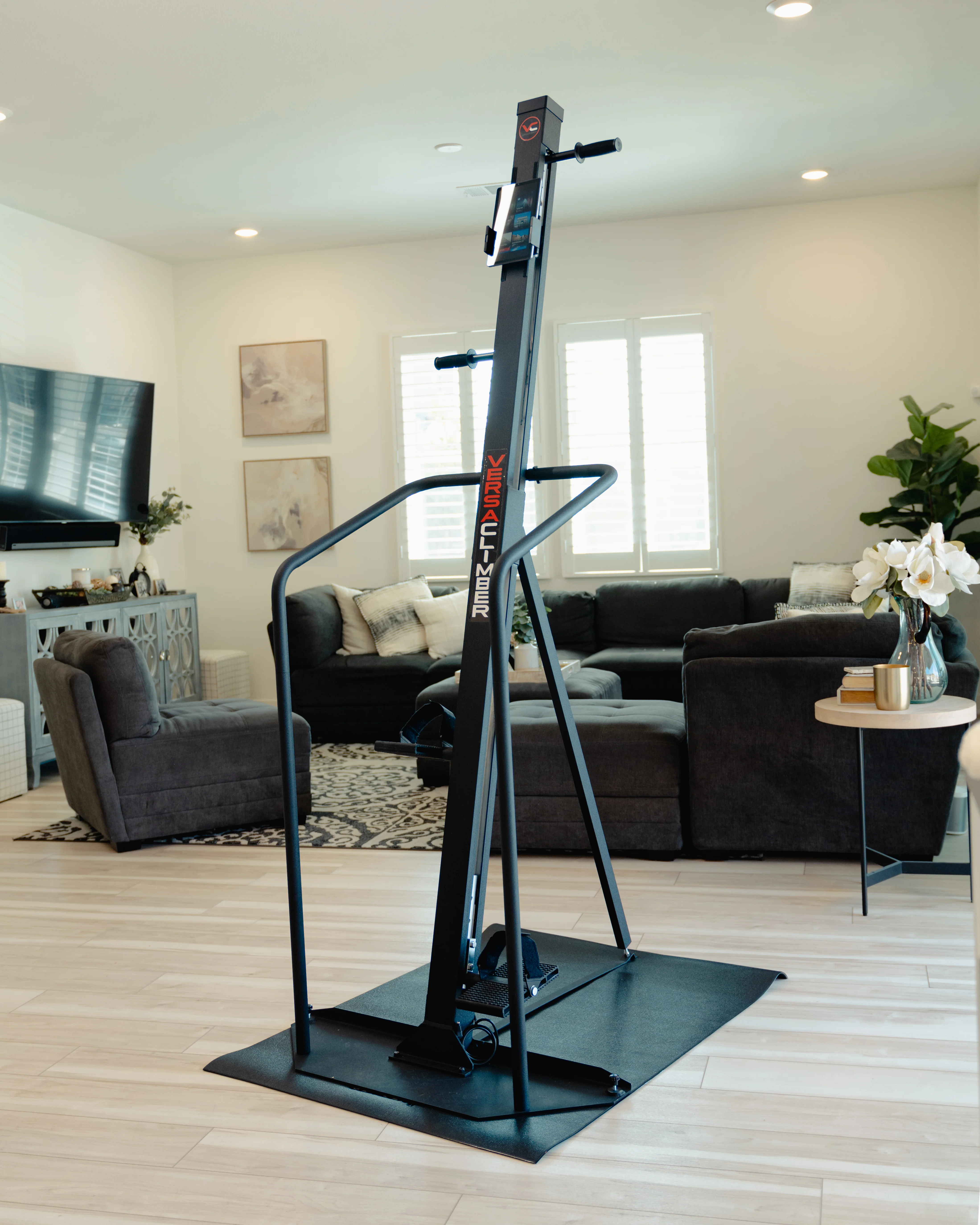 VersaClimber Home Model - Image 5