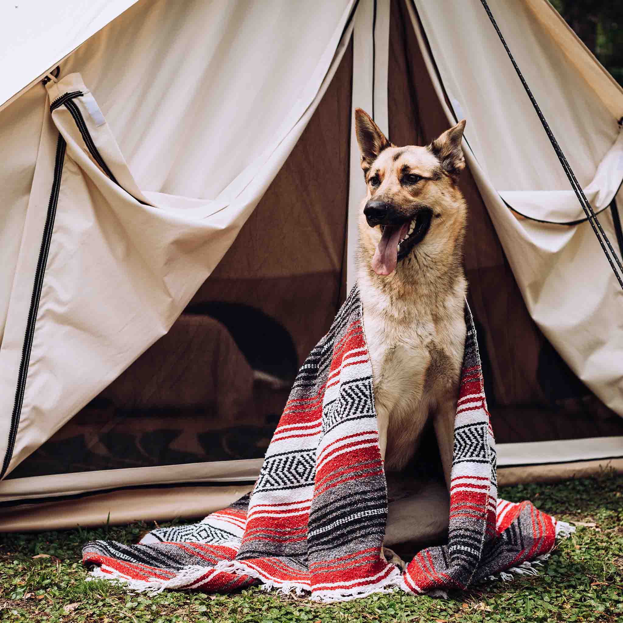 WhiteDuck Outdoors 13' Avalon Bell Tent | Luxury 4-Season Canvas Tent - Image 8
