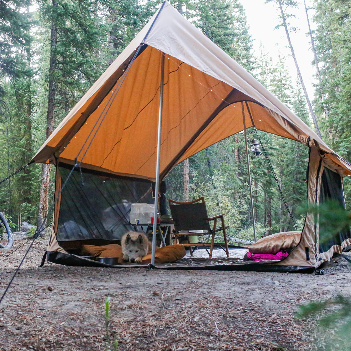 WhiteDuck Outdoors Rover Scout Tent 8'x13' - Image 15